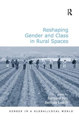 Reshaping Gender and Class in Rural Spaces book