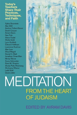 Meditation from the Heart of Judaism book