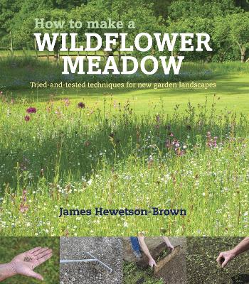 How to make a wildflower meadow: Tried-And-Tested Techniques for New Garden Landscapes book