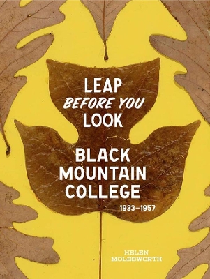 Leap Before You Look book