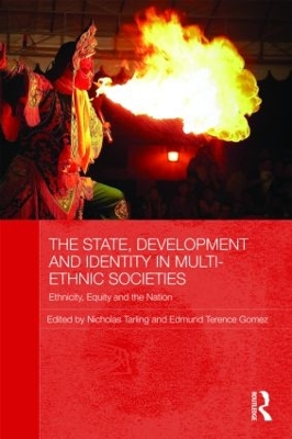 State, Development and Identity in Multi-Ethnic Societies book