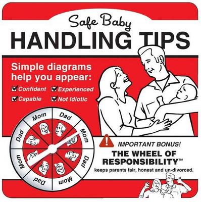 Safe Baby Handling Tips book