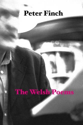Welsh Poems book