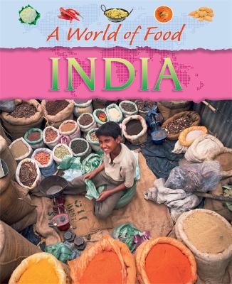 Journey Through: India book
