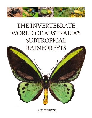 The Invertebrate World of Australia's Subtropical Rainforests book