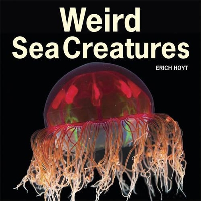 Weird Sea Creatures book