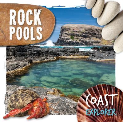 Rock Pools book