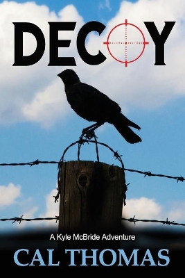 Decoy: A Kyle McBride Adventure book