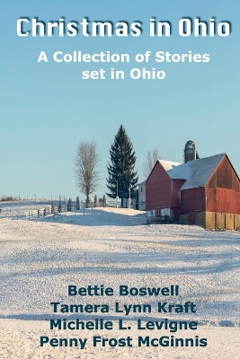 Christmas In Ohio book