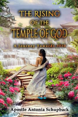 The Rising of the Temple of God: A Journey Towards 2020 book