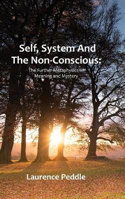 Self, System and the Non-Conscious: The Further Metaphysics of Meaning and Mystery book