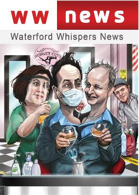 Waterford Whispers News 2020 book