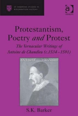 Protestantism, Poetry and Protest book