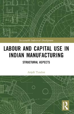 Labour and Capital Use in Indian Manufacturing: Structural Aspects book