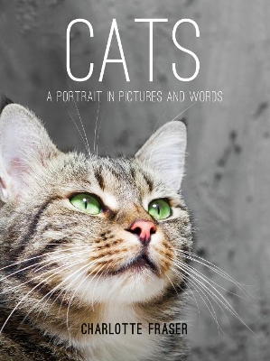 Cats by Charlotte Fraser
