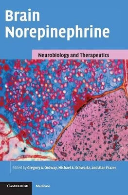 Brain Norepinephrine by Gregory A. Ordway