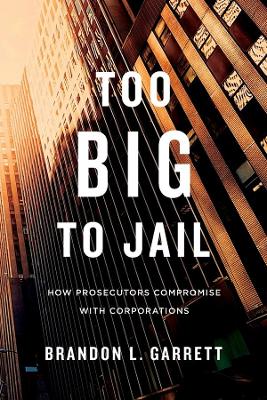 Too Big to Jail book