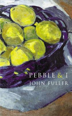 Pebble & I book