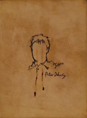 The Books of Albion by Peter Doherty