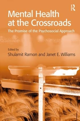 Mental Health at the Crossroads by Janet E. Williams