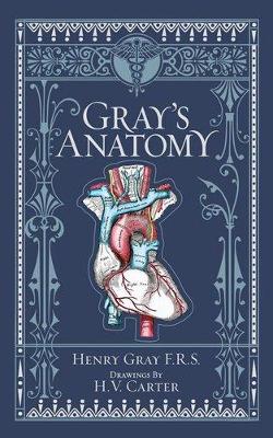 Gray's Anatomy (Barnes & Noble Collectible Editions) book