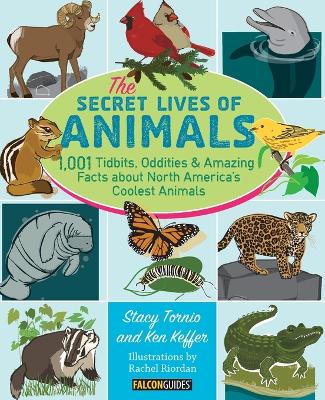 Secret Lives of Animals by Stacy Tornio