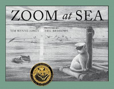 Zoom at Sea book