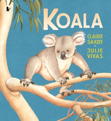 Koala by Claire Saxby