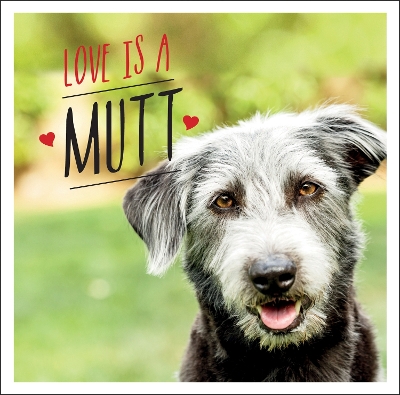 Love is a Mutt: A Dog-Tastic Celebration of the World's Cutest Mixed and Cross Breeds book