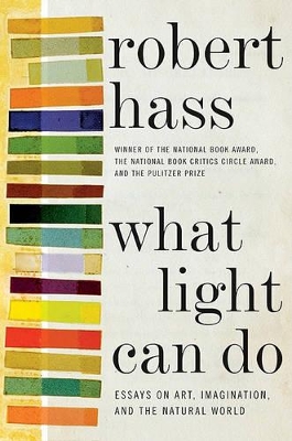 What Light Can Do by Robert Hass