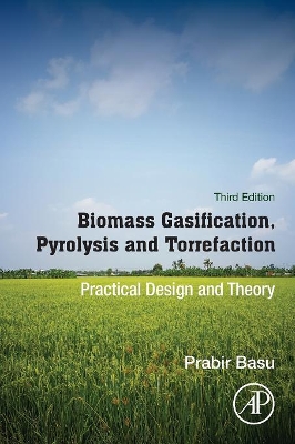 Biomass Gasification, Pyrolysis and Torrefaction book