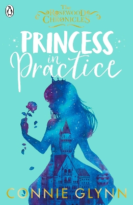 Princess in Practice book