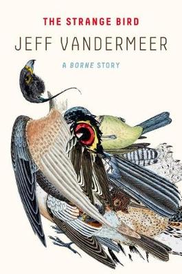 The Strange Bird by Jeff VanderMeer