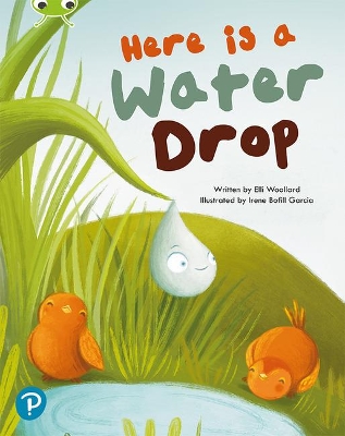 Bug Club Shared Reading: Here is a Water Drop (Year 2) book
