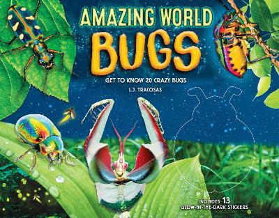 Amazing World: Bugs: Get to know 20 crazy bugs: Volume 1 book