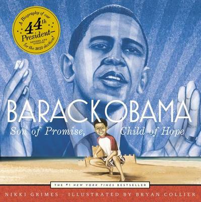 Barack Obama book