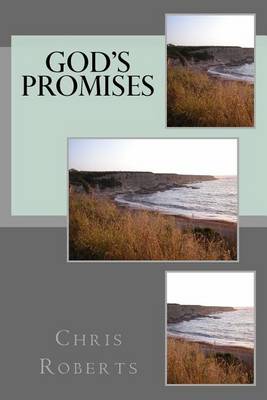 God's Promises book