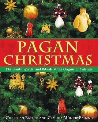 Pagan Christmas book