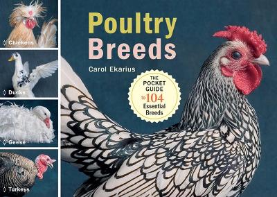 Poultry Breeds book