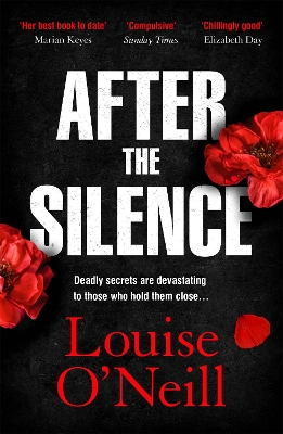 After the Silence: The An Post Irish Crime Novel of the Year by Louise O'Neill