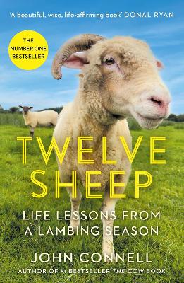 Twelve Sheep: Life lessons from a lambing season book