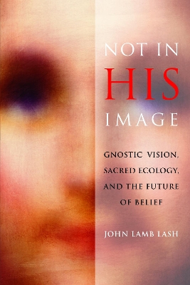 Not in His Image book