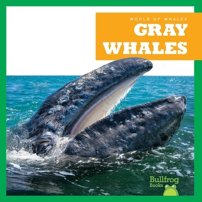 Gray Whales book