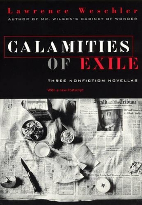 Calamities of Exile book