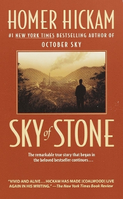 Sky Of Stone book