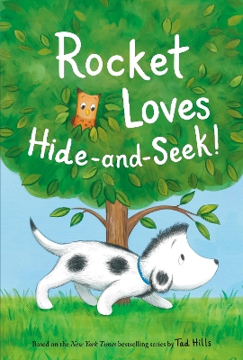 Rocket Loves Hide-and-Seek! book