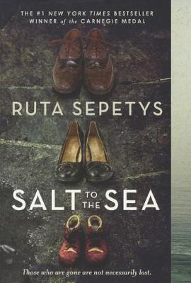 Salt to the Sea book