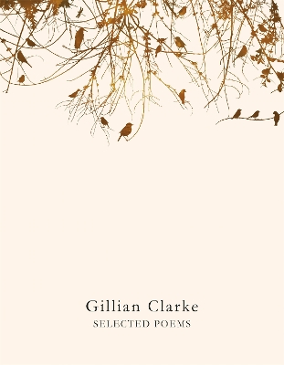 Selected Poems by Gillian Clarke