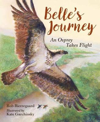 Belle's Journey book