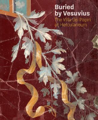 Buried by Vesuvius - The Villa dei Papiri at Herculaneum book